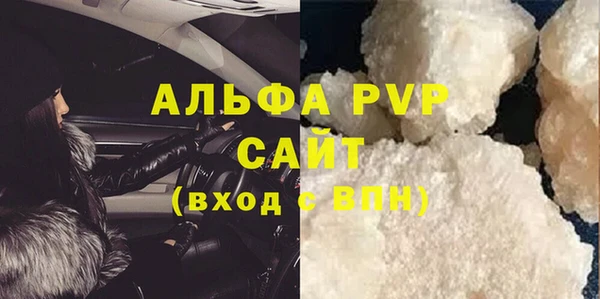 индика Майский