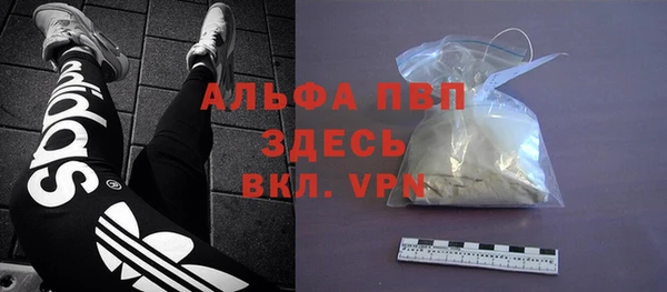 дживик Магас