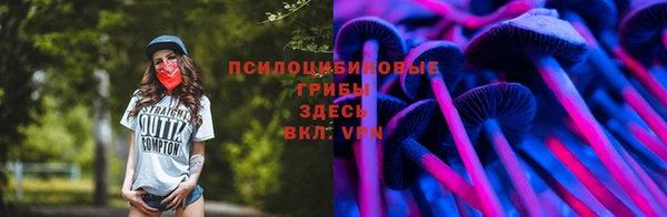 дживик Магас