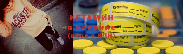 индика Майский
