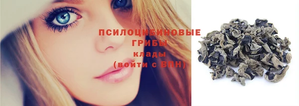 ГАЛЛЮЦИНОГЕННЫЕ ГРИБЫ Магадан