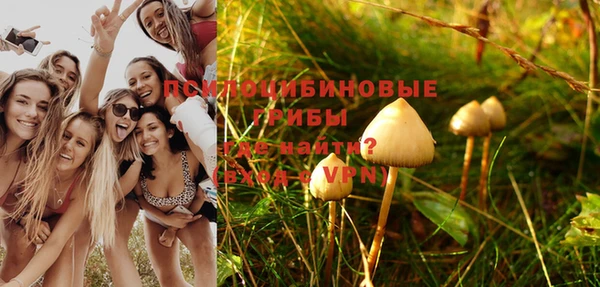 индика Майский
