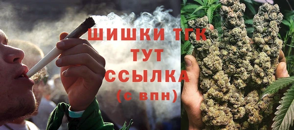 ГАЛЛЮЦИНОГЕННЫЕ ГРИБЫ Магадан