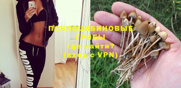 ГАЛЛЮЦИНОГЕННЫЕ ГРИБЫ Магадан
