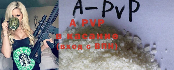 индика Майский